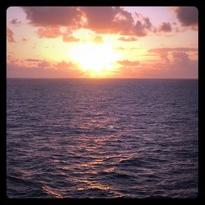 Meet your Posher, Tracey